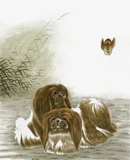 国画狗狗免抠 国画狗狗免抠