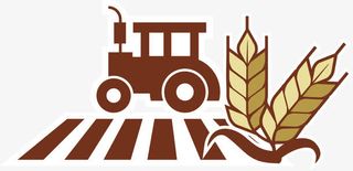 农田和稻谷免抠