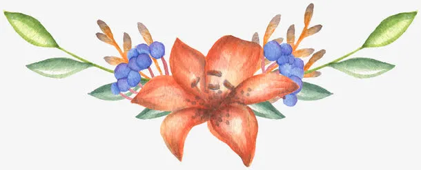 橘色花卉免抠