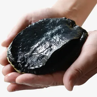手捧黑鲍鱼免抠