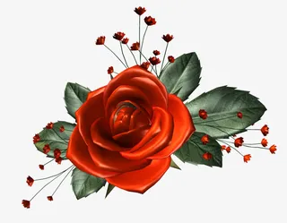 创意花卉图片手绘花草素材免抠