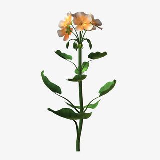 可爱橙色小花绿叶免抠