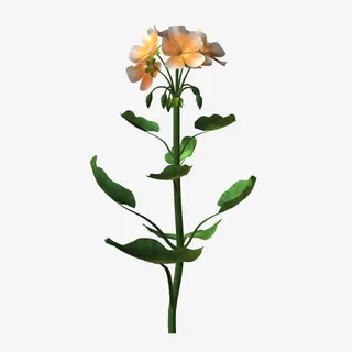 可爱橙色小花绿叶免抠