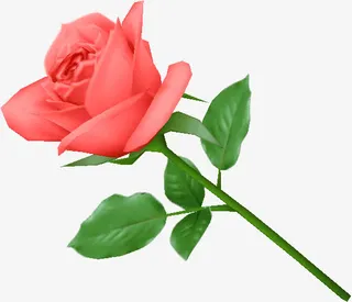 玫瑰免抠