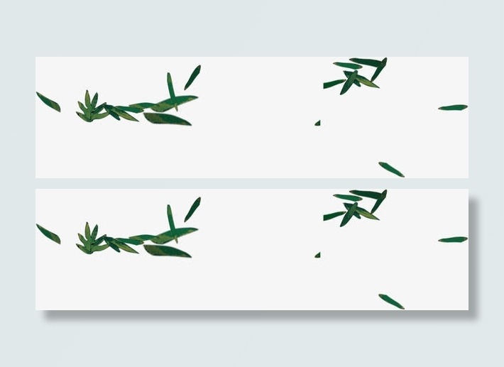 绿叶飘中国风地产广告免抠