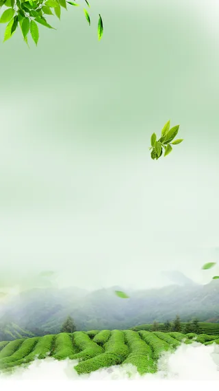 春天踏春绿色风景H5背景高清文艺清新背景