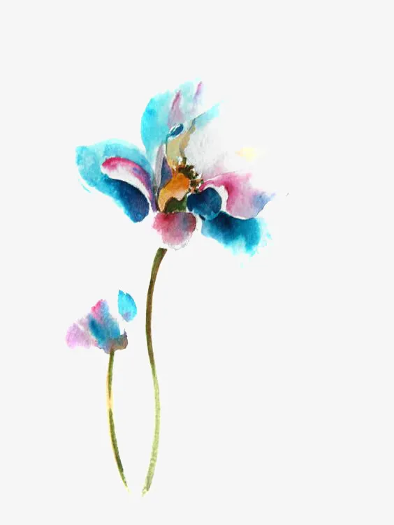 美丽花朵免抠