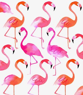 手绘火烈鸟免抠