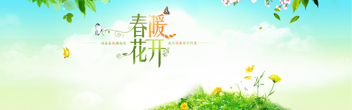 鲜花高清