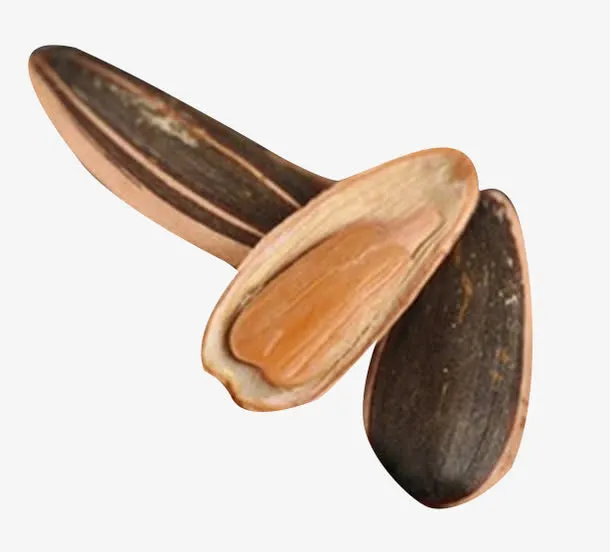 带皮的原味葵花籽免抠