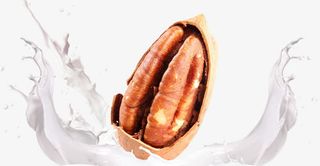 牛奶味的碧根果免抠