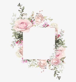 粉色淡雅月季花方形边框免抠