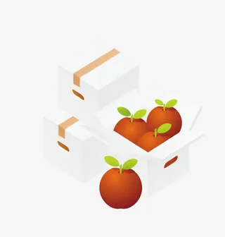 矢量整箱水果免抠