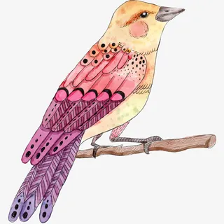 树干上的手绘小鸟免抠