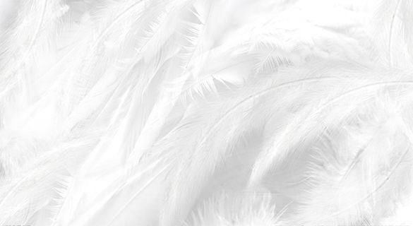 简约背景 2高清