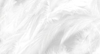 简约背景 2高清