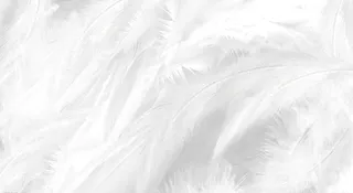 简约背景 2高清