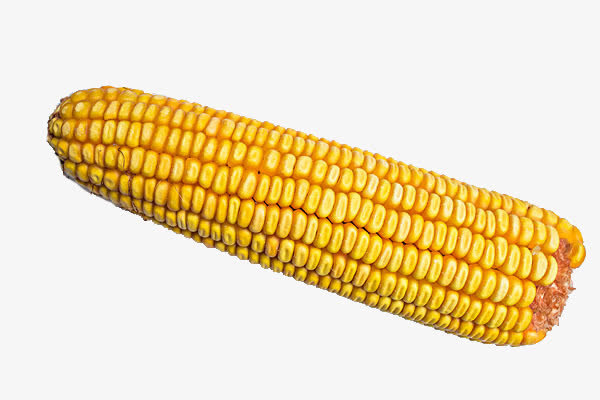 一个玉米免抠