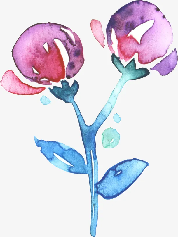 水彩两朵花免抠