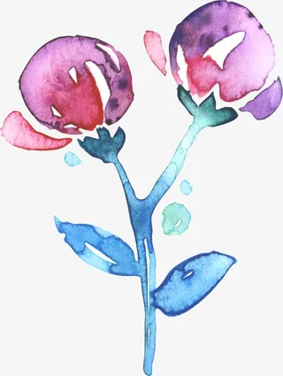 水彩两朵花免抠