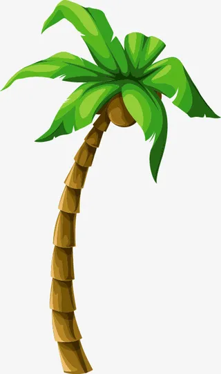 夏 立夏 暑天PNG 元素免抠