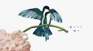 梨花树和鸟免抠