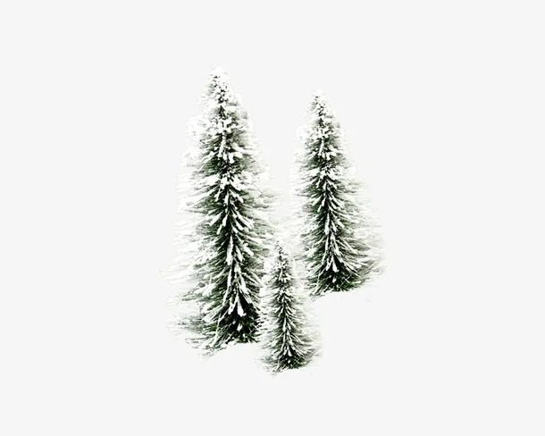 落满积雪的松树免抠