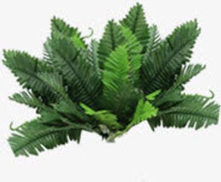 热带唯美植物婚礼免抠