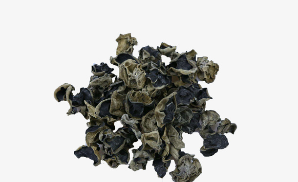 散布在纸上的东北黑木耳实物免抠