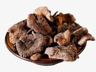 精品榛蘑图片素材免抠