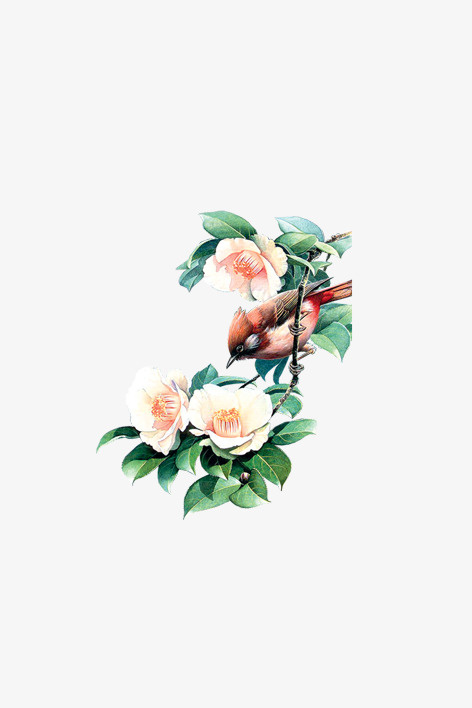 中国风花鸟纹免抠