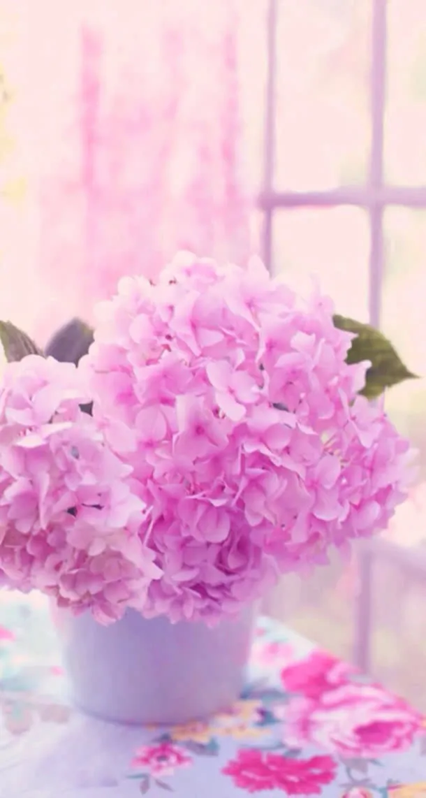 粉色花束淡雅唯美免抠
