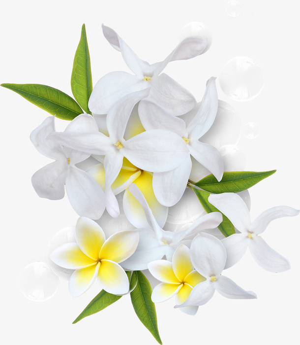 白色桃花免抠