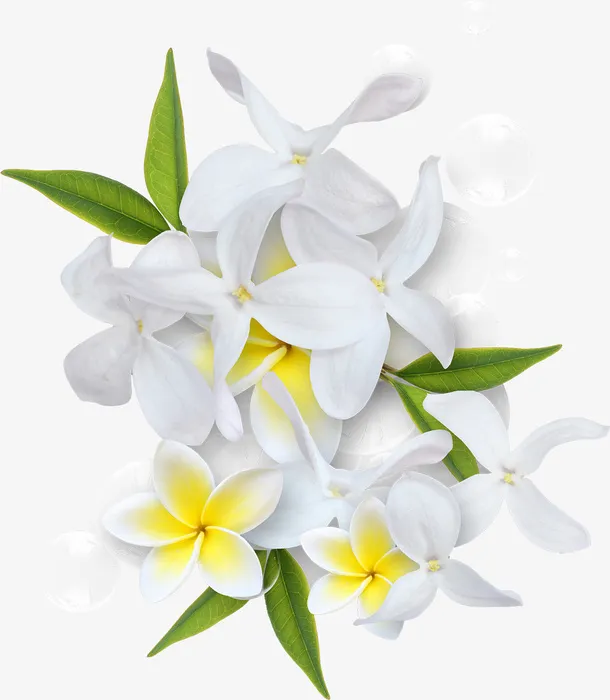 白色桃花免抠