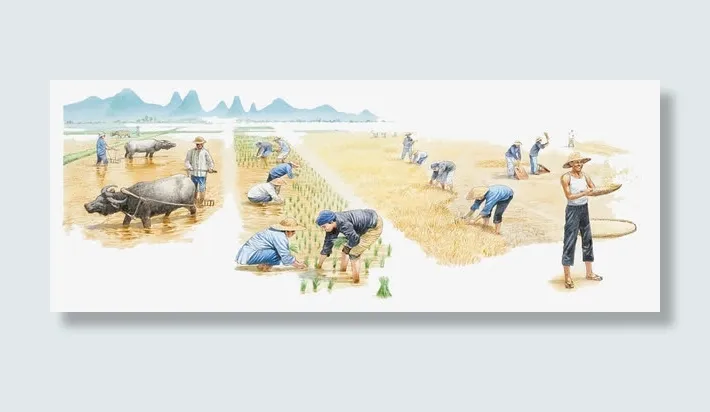 插图水彩插图农地收割免抠