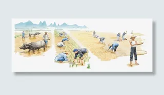 插图水彩插图农地收割免抠