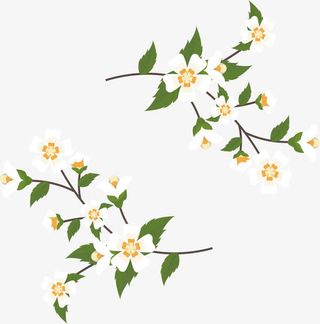 茉莉花藤标题框免抠