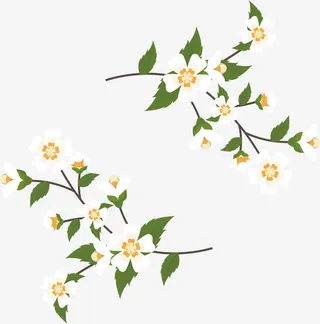 茉莉花藤标题框免抠