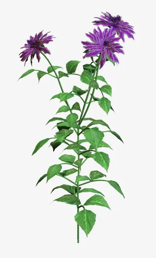 手绘装饰图片植物花草素材免抠