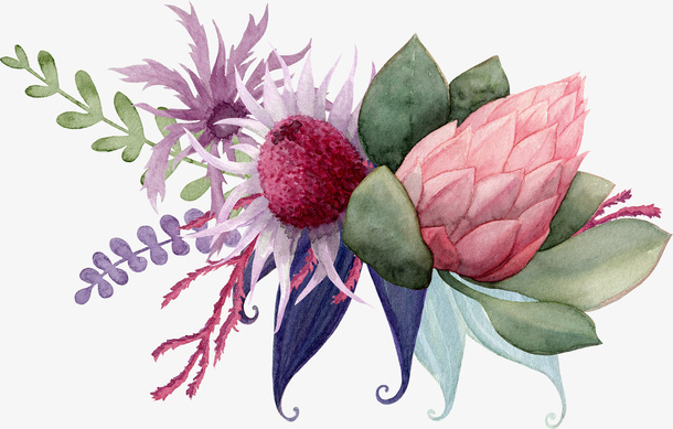 手绘水彩彩色鲜花免抠