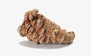 田七药材水洗三七免抠