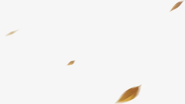 落叶树叶免抠