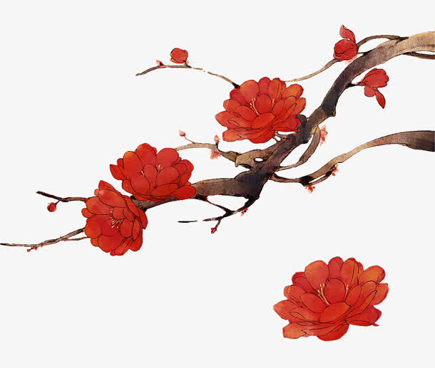 树枝鲜花矢量png图片免抠