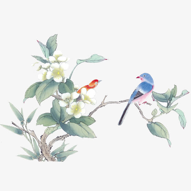 花鸟图免抠