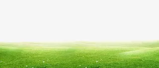 绿草地全景图免抠