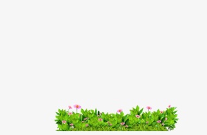 一簇草花丛免抠