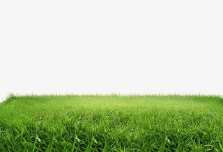 绿色草坪免抠