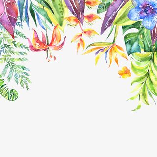 水彩花卉绿叶蓝花免抠