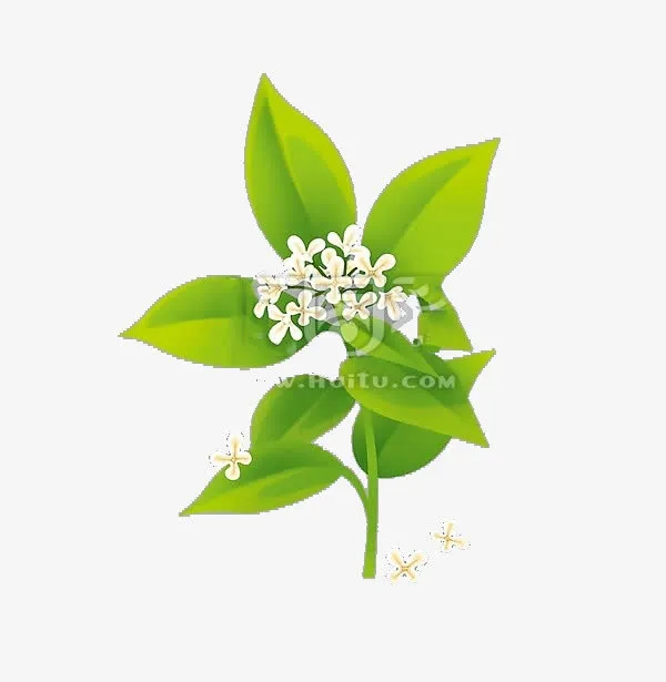 樱花图案免抠