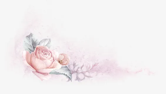 手绘粉色花卉花框设计免抠 手绘粉色花卉花框设计免抠